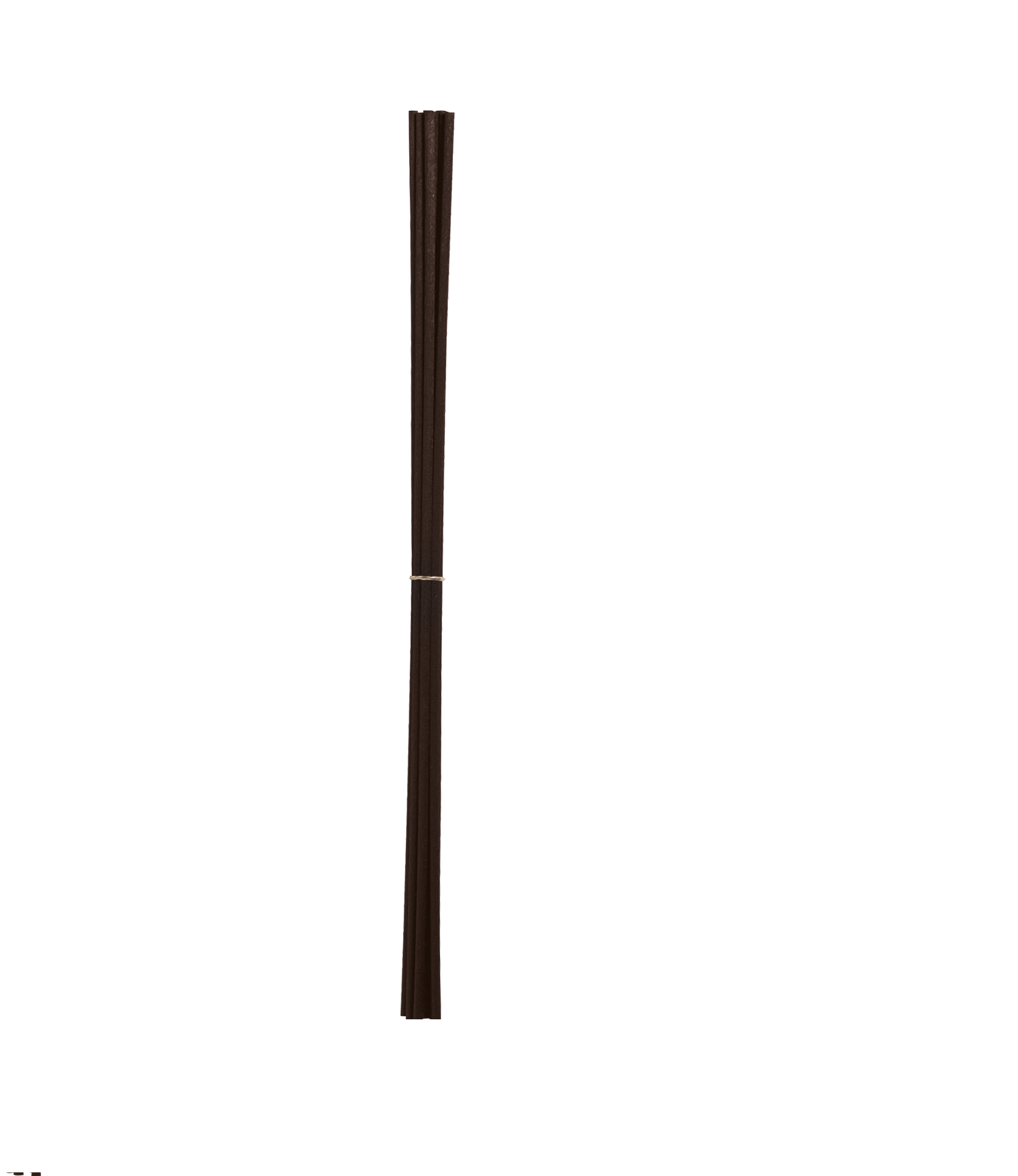 Alternate Text